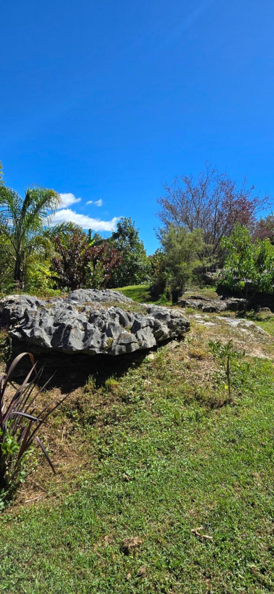 The Rocks Chalets Takaka Bagian luar foto